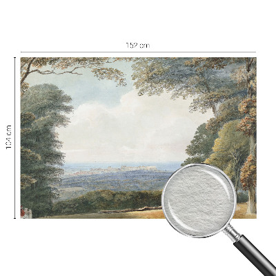 Papel mural texturado decorativo con un diseño de paisaje boscoso