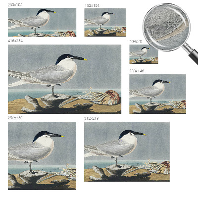 Mural decorativo con diseño de aves de estilo elegante