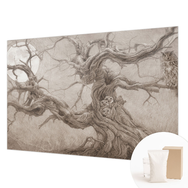 Papel mural texturado decorativo con diseño de aves nocturnas