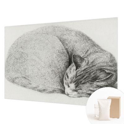 Fotomural decorativo para cabecero de cama con un gato acurrucado