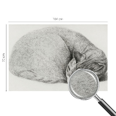 Fotomural decorativo para cabecero de cama con un gato acurrucado