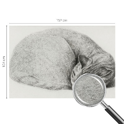 Fotomural decorativo para cabecero de cama con un gato acurrucado