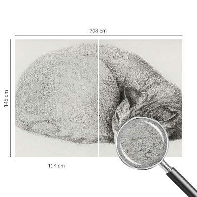 Fotomural decorativo para cabecero de cama con un gato acurrucado