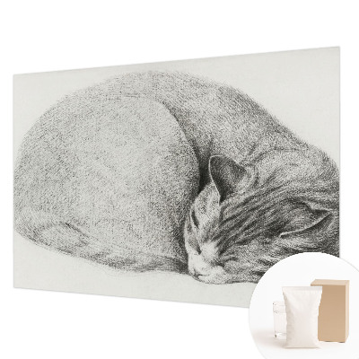 Fotomural decorativo para cabecero de cama con un gato acurrucado