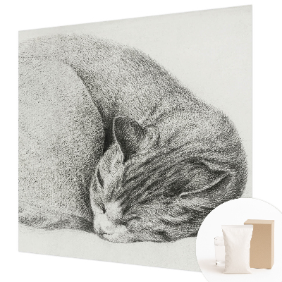 Fotomural decorativo para cabecero de cama con un gato acurrucado
