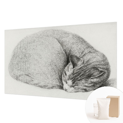 Fotomural decorativo para cabecero de cama con un gato acurrucado