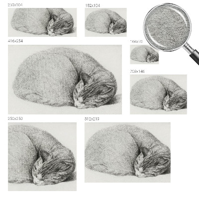 Fotomural decorativo para cabecero de cama con un gato acurrucado