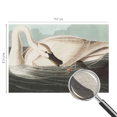 Fotomural decorativo para cabecero de cama con el diseño 