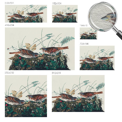 Papel mural con patrón decorativo con diseño inspirado en la naturaleza