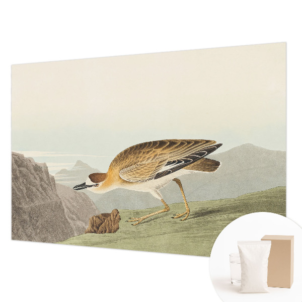 Mural de pared con estampado hermoso con ilustración de ave de montaña