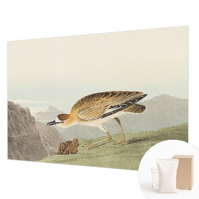 Mural de pared con estampado hermoso con ilustración de ave de montaña