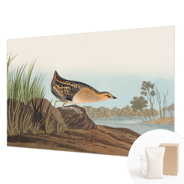 Papel mural texturado decorativo con un diseño de escena natural