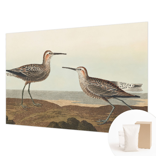 Fotomural decorativo para cabecero de cama con diseño de siluetas de pájaros