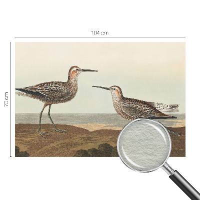 Fotomural decorativo para cabecero de cama con diseño de siluetas de pájaros