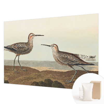 Fotomural decorativo para cabecero de cama con diseño de siluetas de pájaros