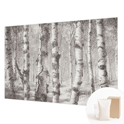 Fotomural decorativo para cabecero de cama con un motivo de bosque de abedules