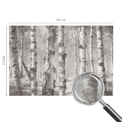 Fotomural decorativo para cabecero de cama con un motivo de bosque de abedules