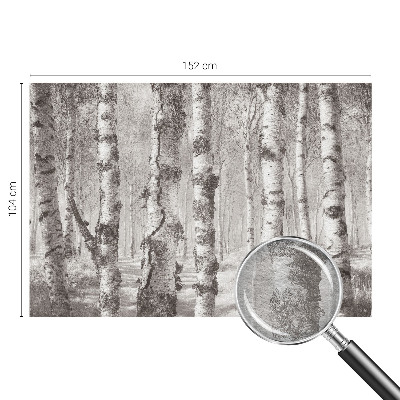 Fotomural decorativo para cabecero de cama con un motivo de bosque de abedules