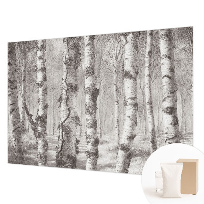 Fotomural decorativo para cabecero de cama con un motivo de bosque de abedules