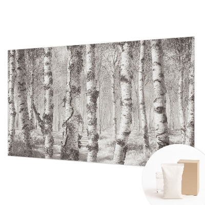 Fotomural decorativo para cabecero de cama con un motivo de bosque de abedules