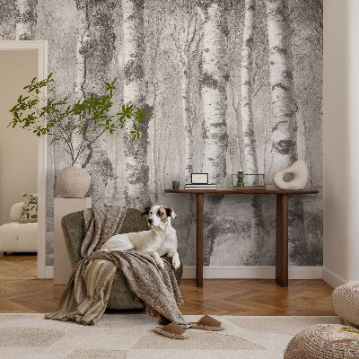 Fotomural decorativo para cabecero de cama con un motivo de bosque de abedules