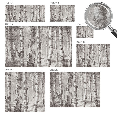 Fotomural decorativo para cabecero de cama con un motivo de bosque de abedules