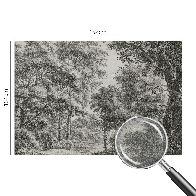 Fotomural decorativo para cabecero de cama con un paisaje forestal