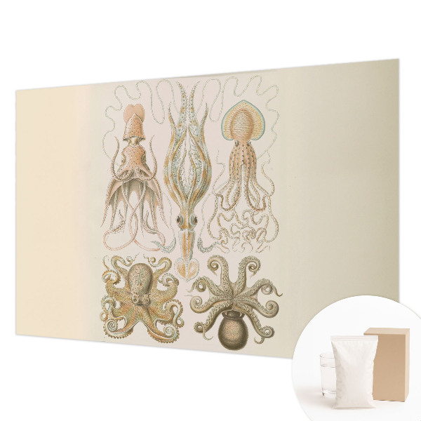 Papel mural texturado decorativo con diseño de vida marina
