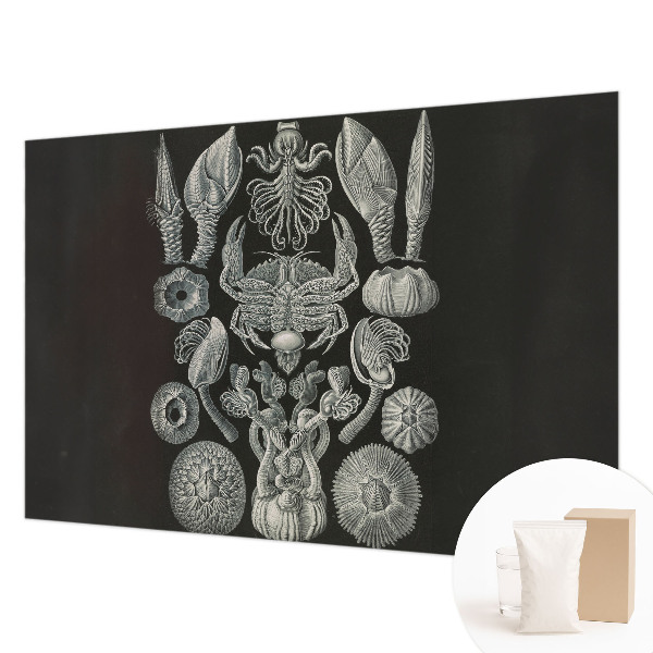 Mural decorativo con diseño de formas subacuáticas