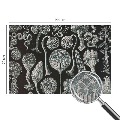 Fotomural decorativo para cabecero de cama con diseño de plantas mágicas