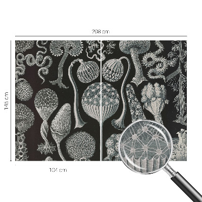 Fotomural decorativo para cabecero de cama con diseño de plantas mágicas