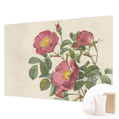 Papel mural con patrón decorativo con motivo de rosa