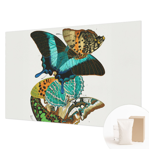 Mural decorativo con mariposas coloridas