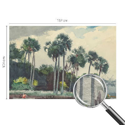 Papel mural texturado decorativo con estampado de palmeras exóticas