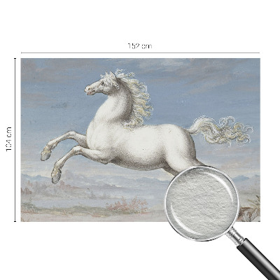 Fotomural decorativo para cabecero de cama con diseño de caballos en pleno salto