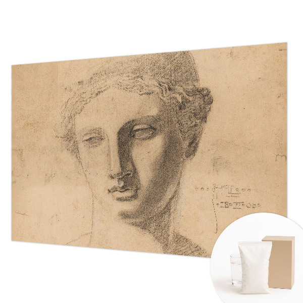 Papel mural con patrón decorativo con motivo de retrato femenino
