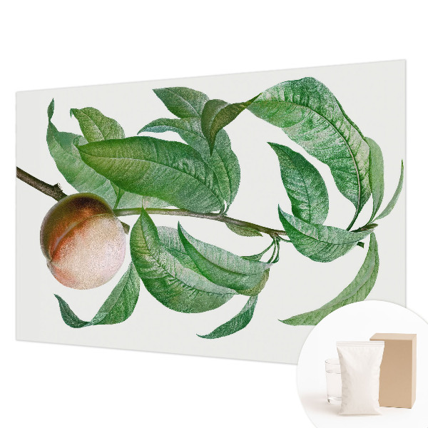 Papel mural texturado decorativo en acabado color melocotón maduro