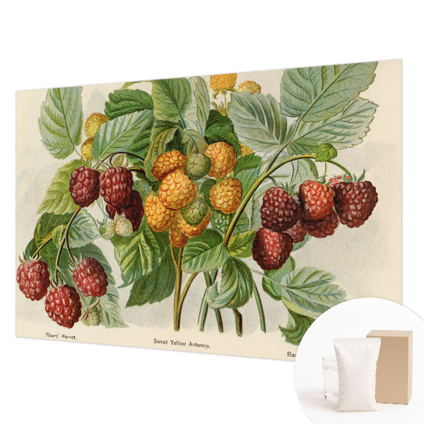 Fotomural decorativo para cabecero de cama con diseño de frambuesas clásicas