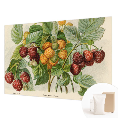 Fotomural decorativo para cabecero de cama con diseño de frambuesas clásicas