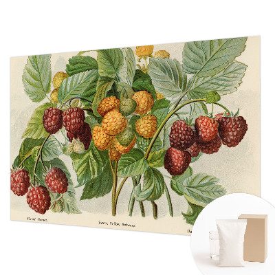 Fotomural decorativo para cabecero de cama con diseño de frambuesas clásicas