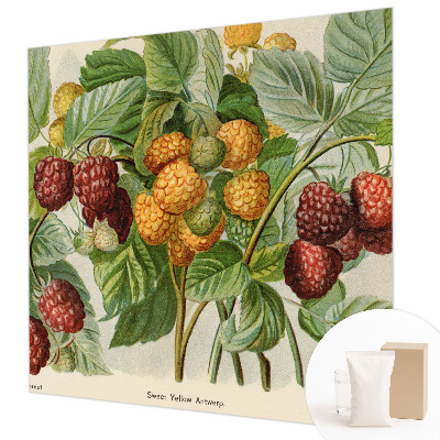 Fotomural decorativo para cabecero de cama con diseño de frambuesas clásicas