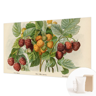 Fotomural decorativo para cabecero de cama con diseño de frambuesas clásicas
