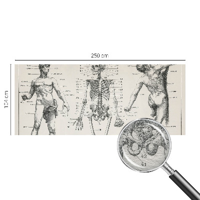 Papel mural con patrón decorativo con motivo de anatomía clásica