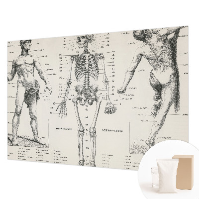 Papel mural con patrón decorativo con motivo de anatomía clásica