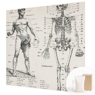 Papel mural con patrón decorativo con motivo de anatomía clásica