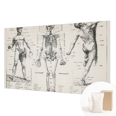 Papel mural con patrón decorativo con motivo de anatomía clásica