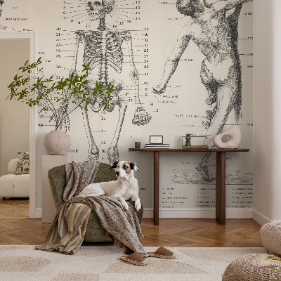Papel mural con patrón decorativo con motivo de anatomía clásica