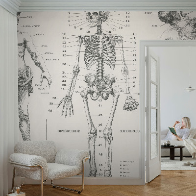 Papel mural con patrón decorativo con motivo de anatomía clásica