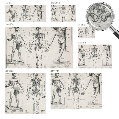 Papel mural con patrón decorativo con motivo de anatomía clásica