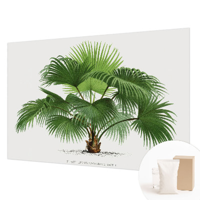 Mural de pared con estampado hermoso con motivo de palmera exótica